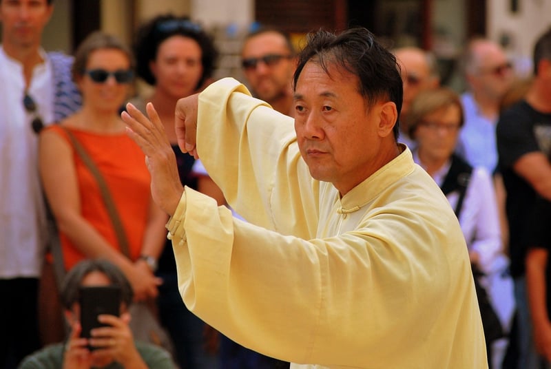 Tai Chi Fan